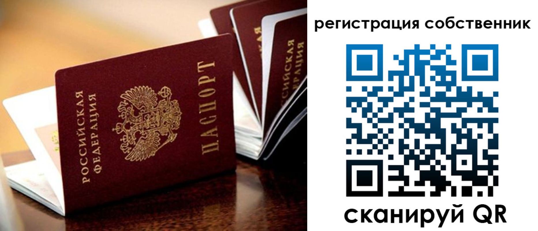 пропишу в квартире в Старом Осколе